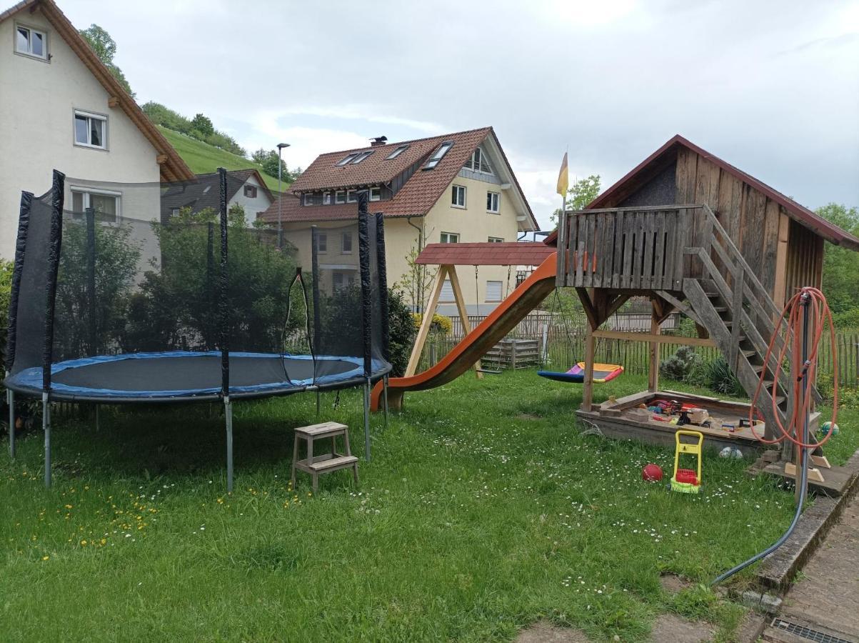 Wiesenblick Apartment Oberharmersbach